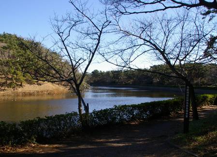 IMGP5302.JPG